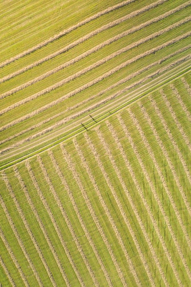 Photograph by Павел Токарев