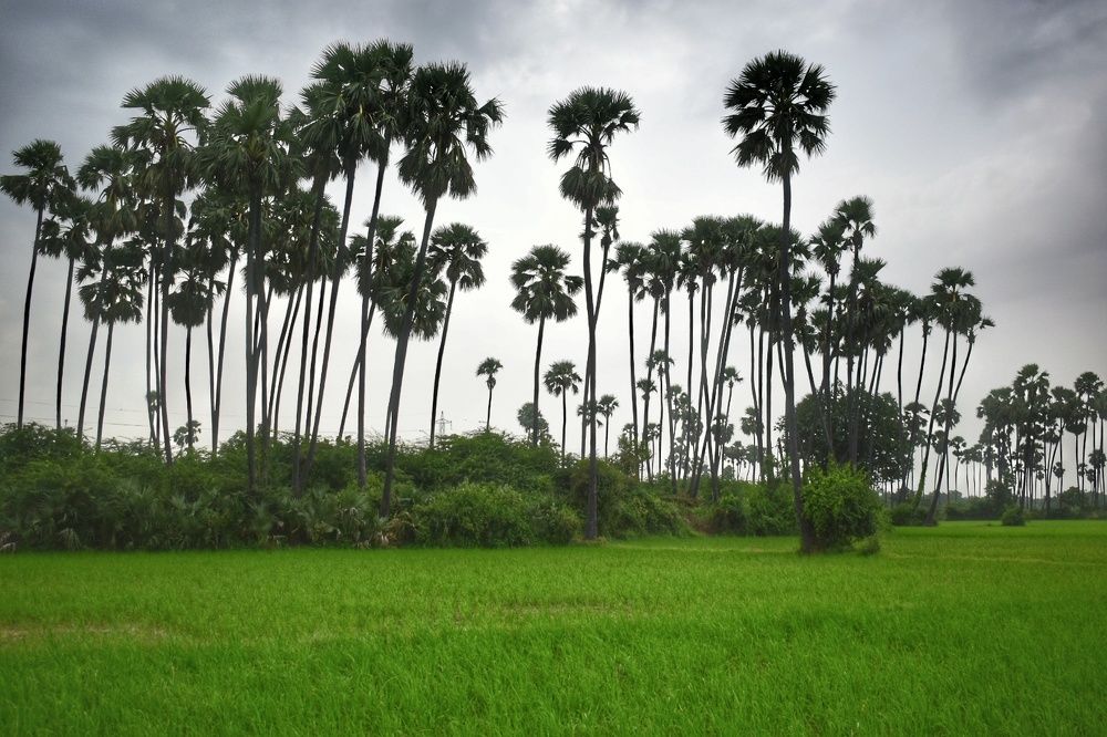 Фотография автора ABHISHEK SHAH