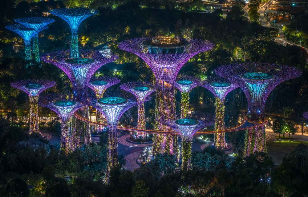 Photograph by Mengguo Li