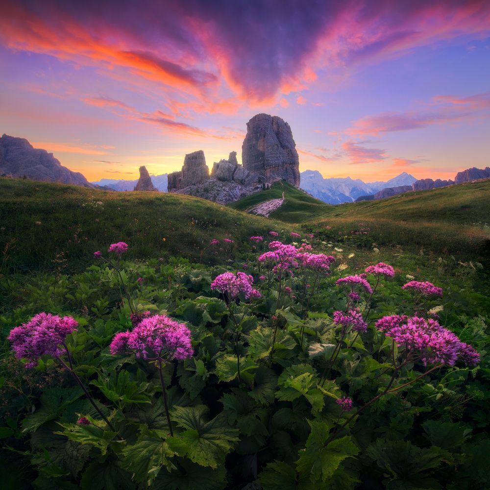 Photograph by Federico Penta