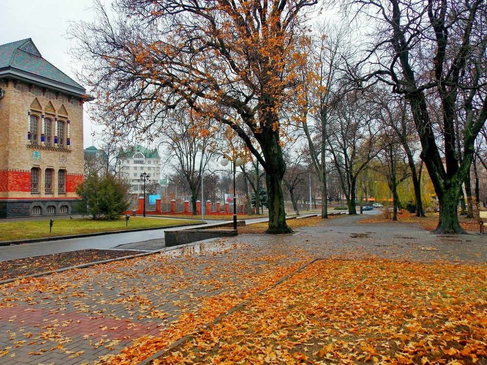 Photograph by Олександр Розум