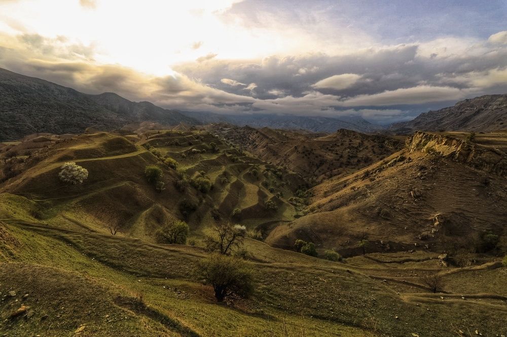 Photograph by Надежда Никитина