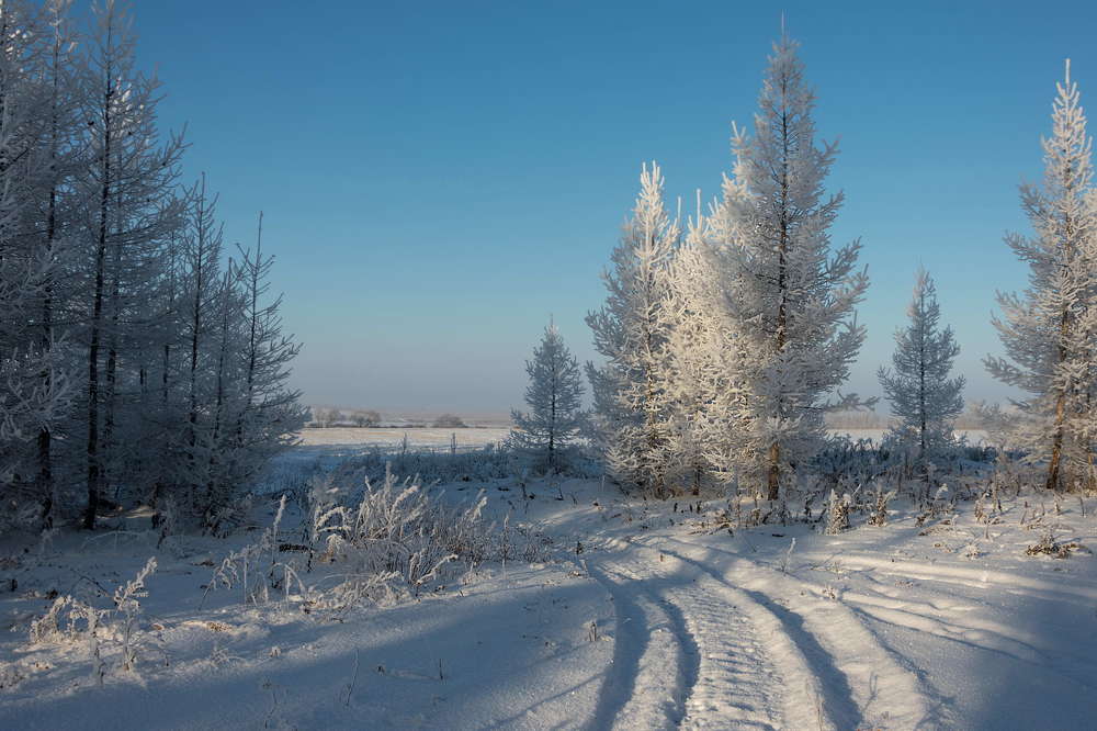 Зимним днем...