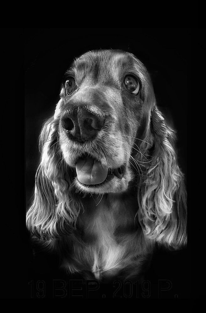 Любимая Злата