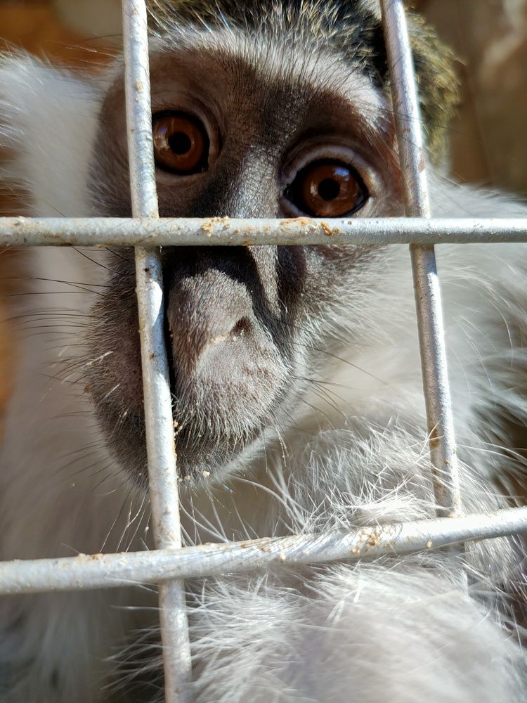 Photograph by OMAR Mourtagy Helal