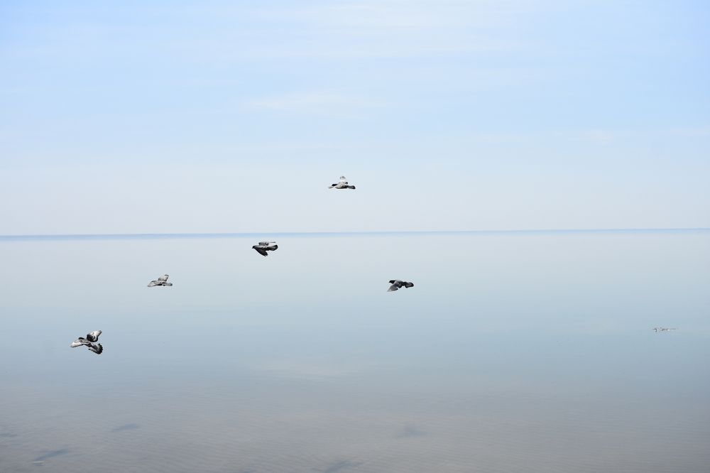 Photograph by Андрей Юденков