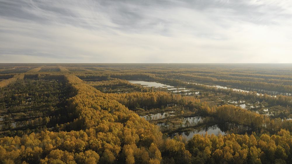 Photograph by Марина Рунова