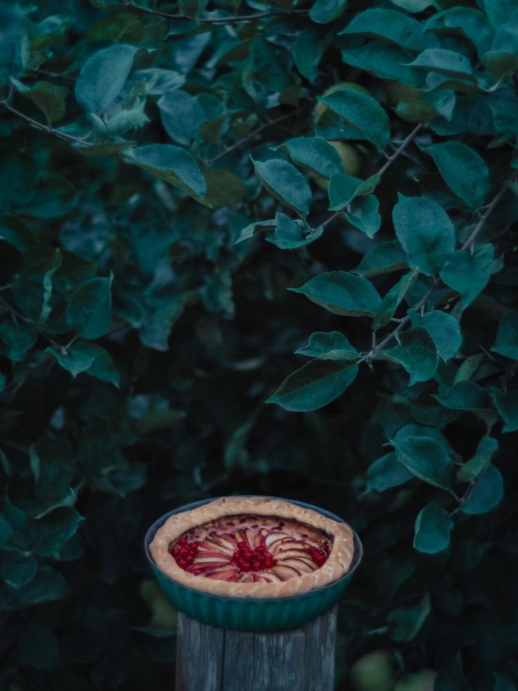 Photograph by Юлия Горбунова