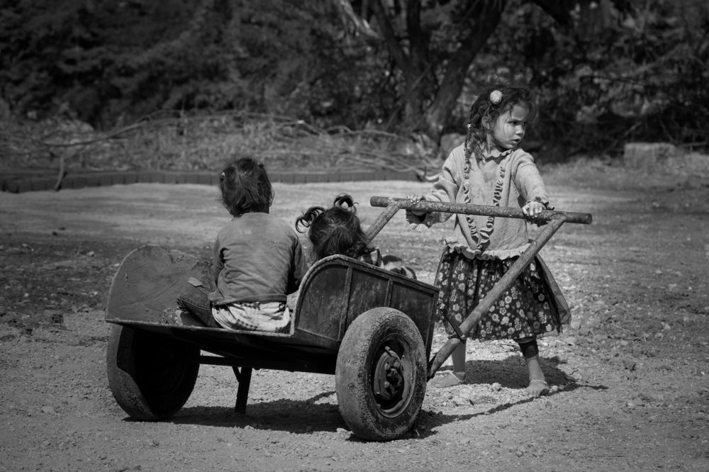 Фотография автора Dr.Hitesh Patel