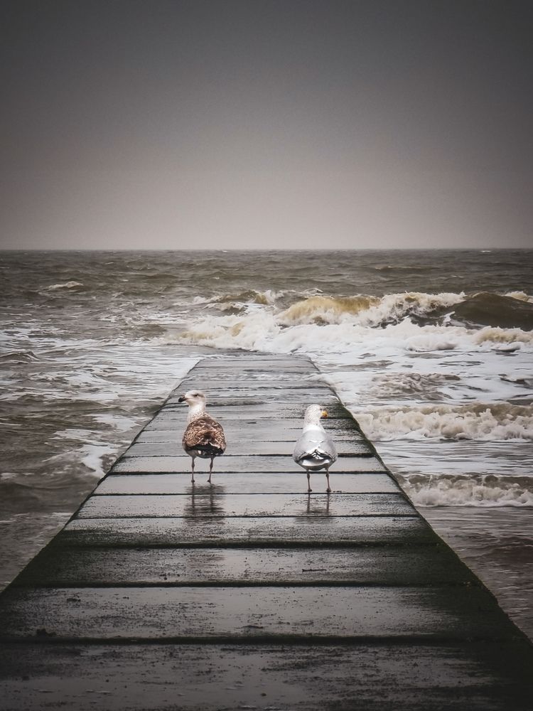 Photograph by Schewzow Lana