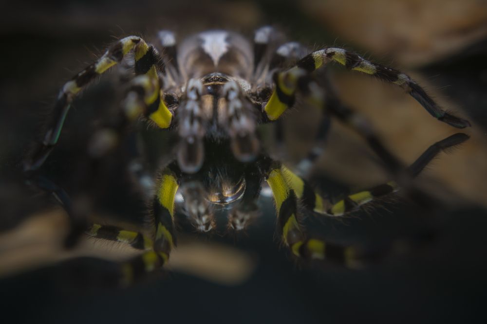 Photograph by Beno Medic