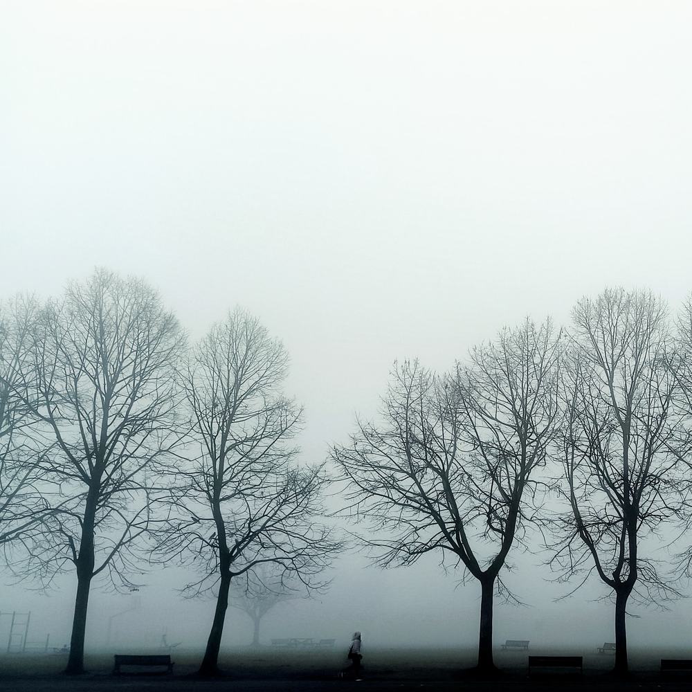 Photograph by Valter Grieco