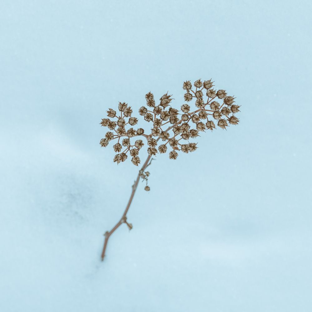 Photograph by Татьяна Макотра