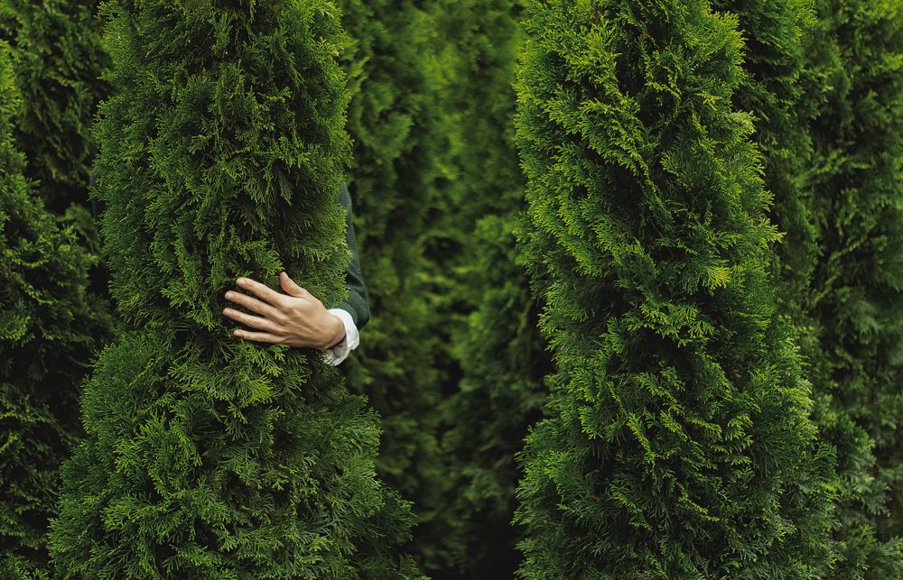 Photograph by Евгения Гловацкая