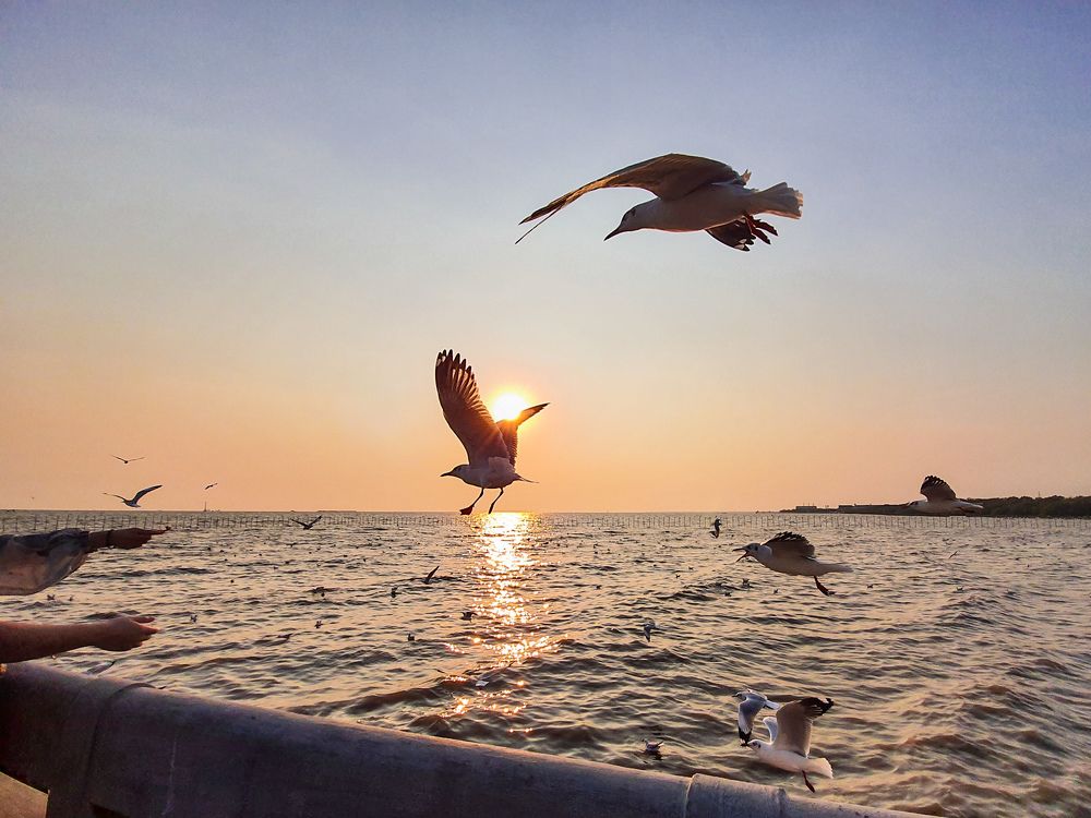 Photograph by UUGANJARGAL ENKHBAATAR