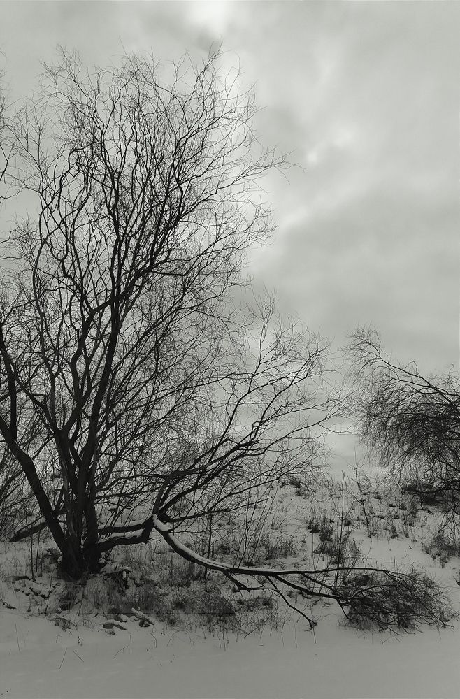 Photograph by Андрей Микулич