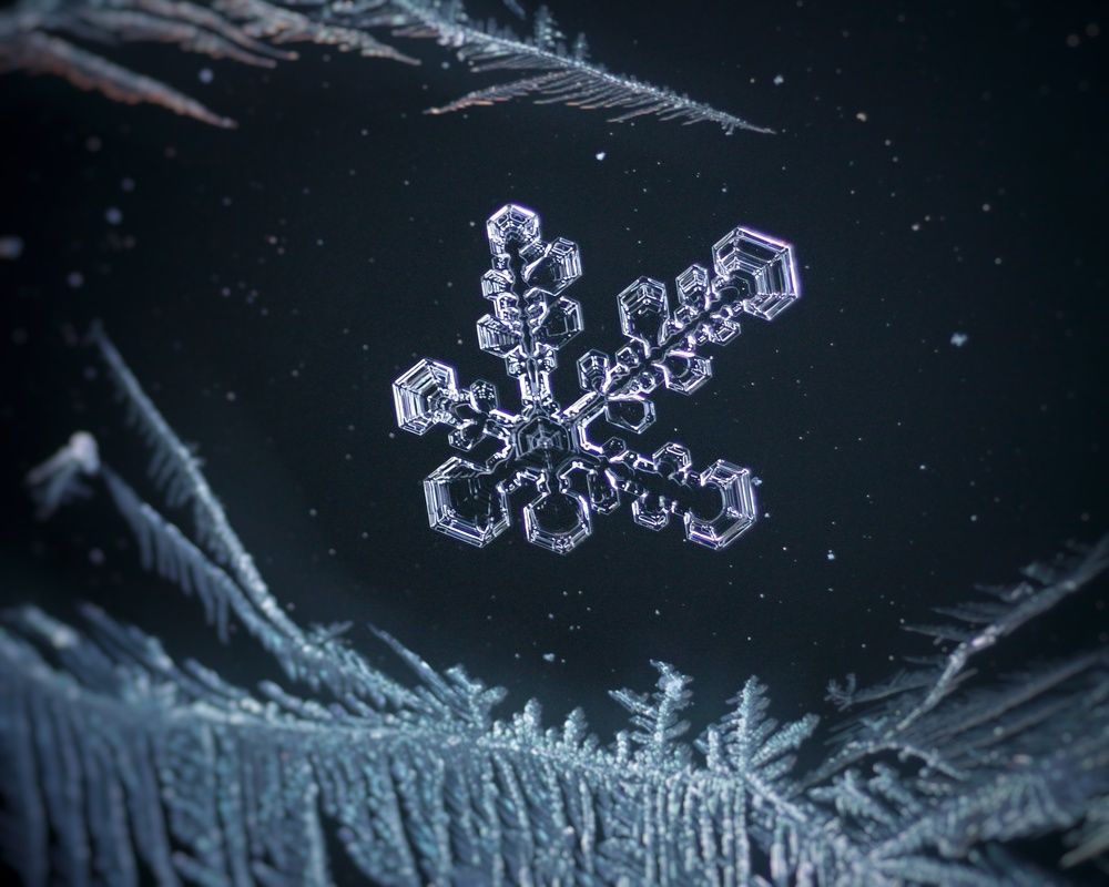 Photograph by Наталия Долганова