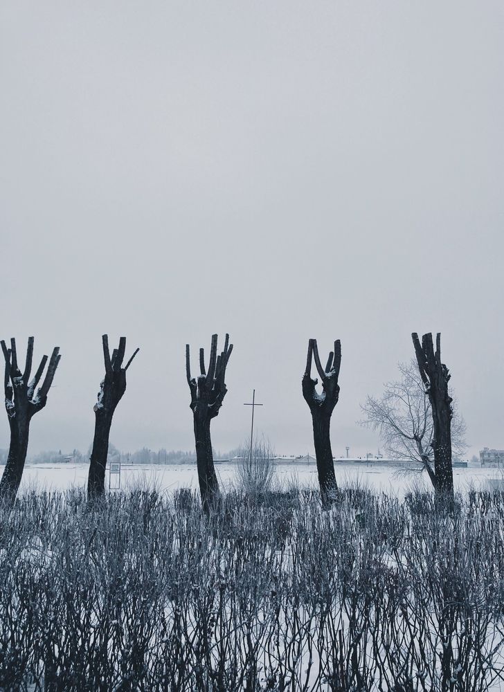 Photograph by Евгения