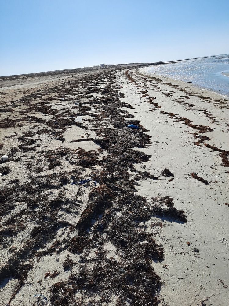 Фотография автора Shreya Suraj