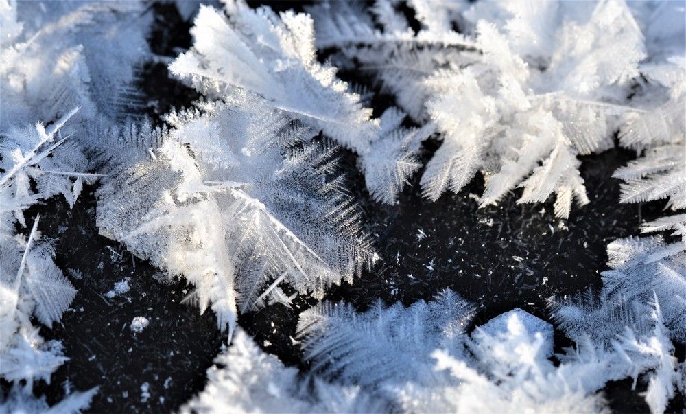 Photograph by Сергей Зубов