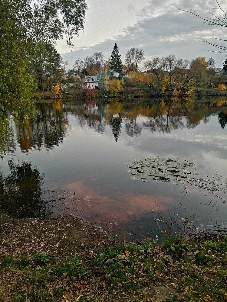 Ясная Поляна