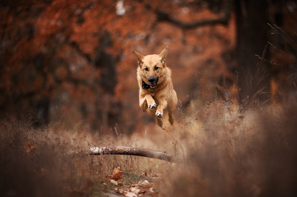 Фотография автора Дарина Матасова