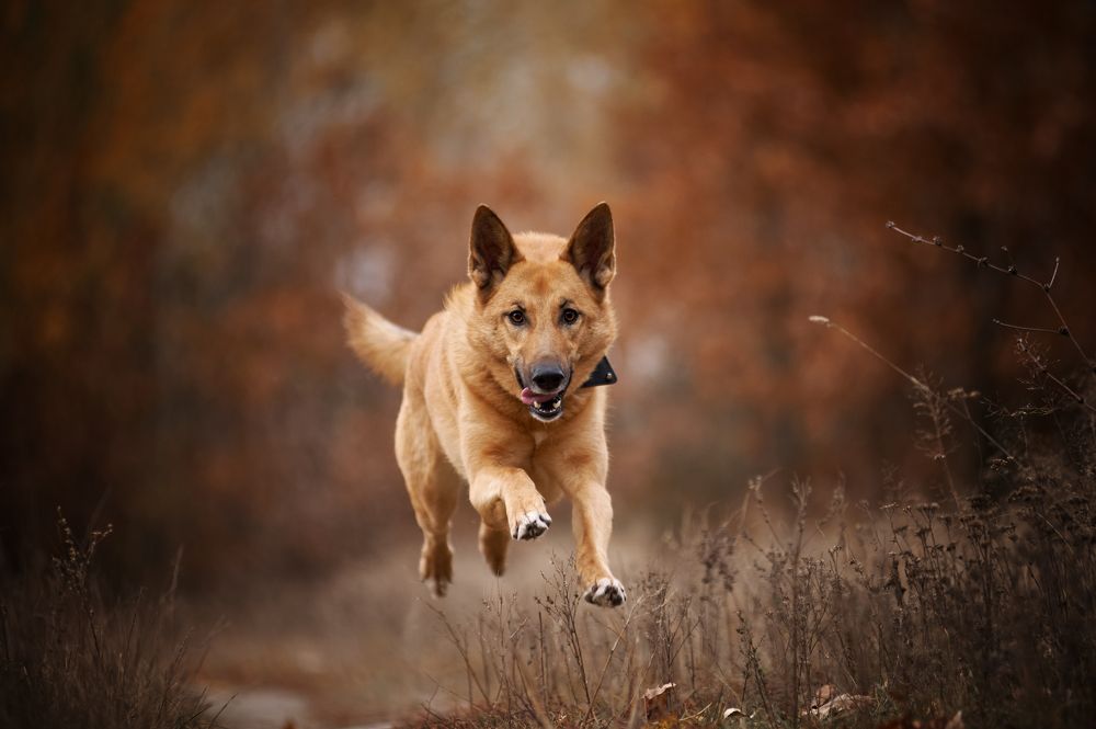Фотография автора Дарина Матасова