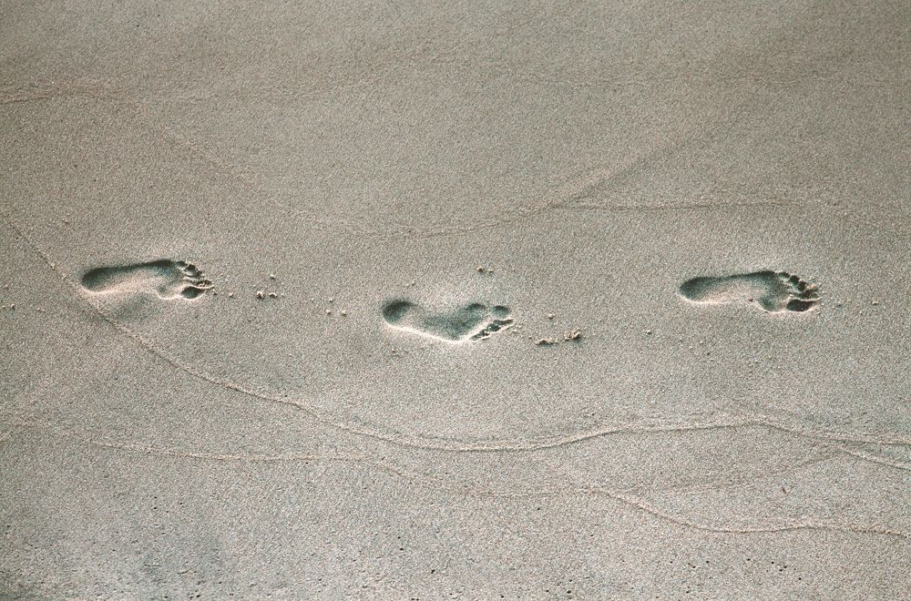 Photograph by Юлия Гаранина