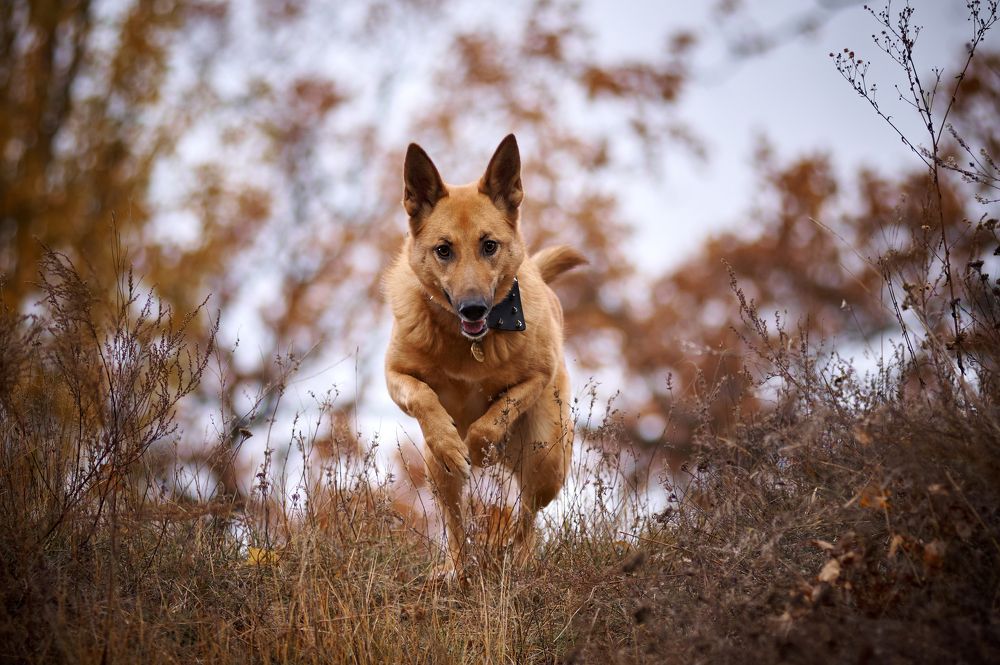 Фотография автора Дарина Матасова