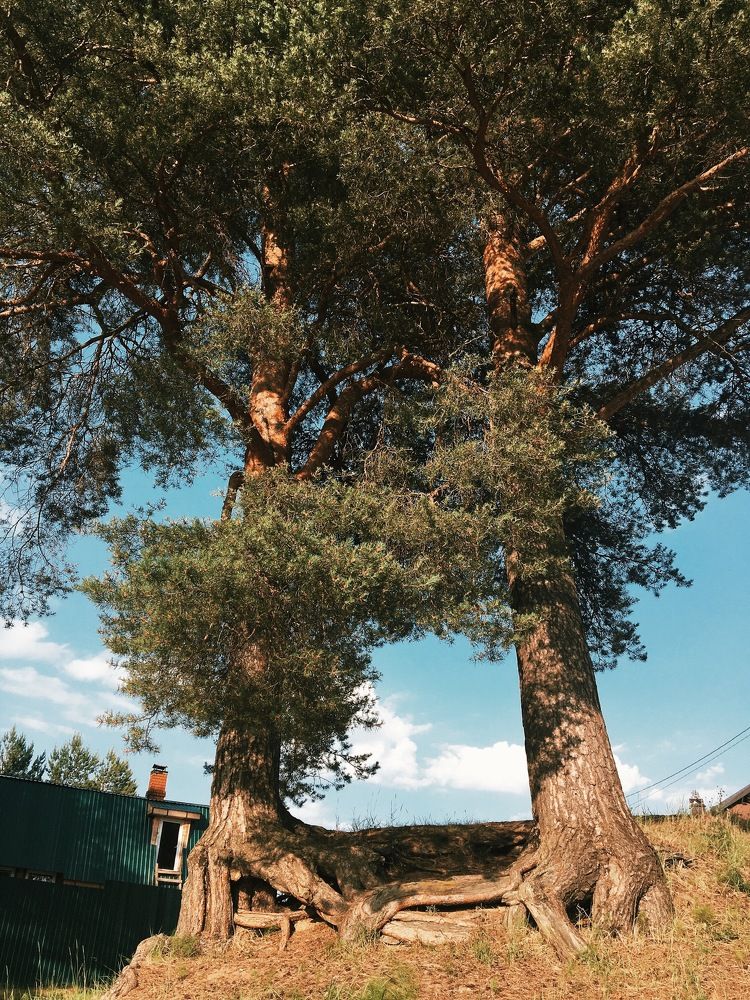 Photograph by Гребёнкина Ирина