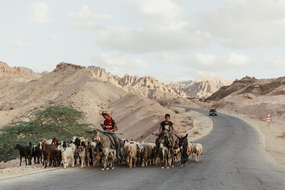 Young herders of Jordan