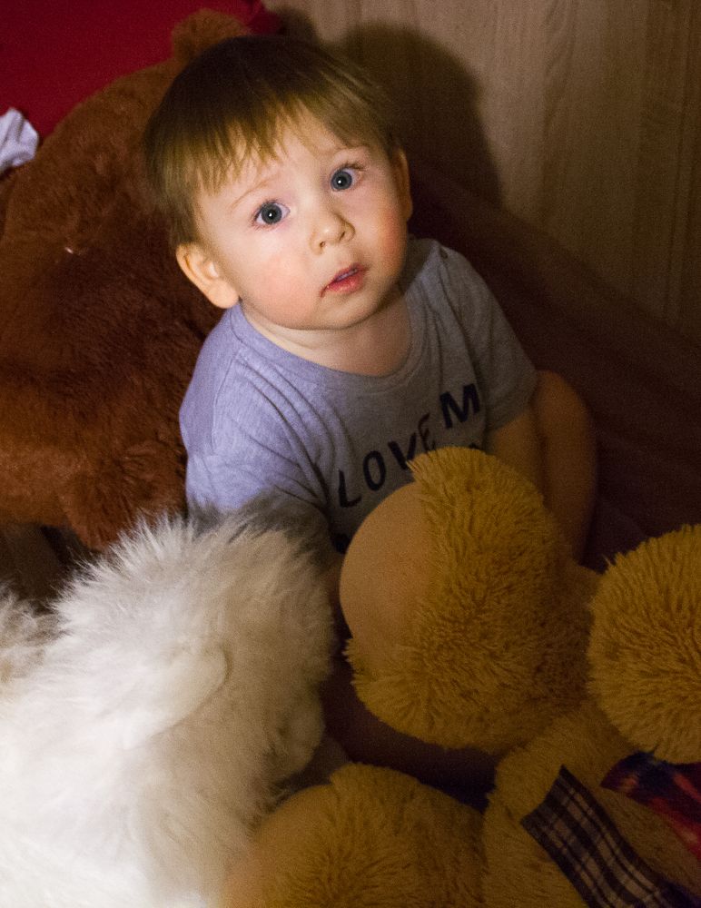 В стране игрушек