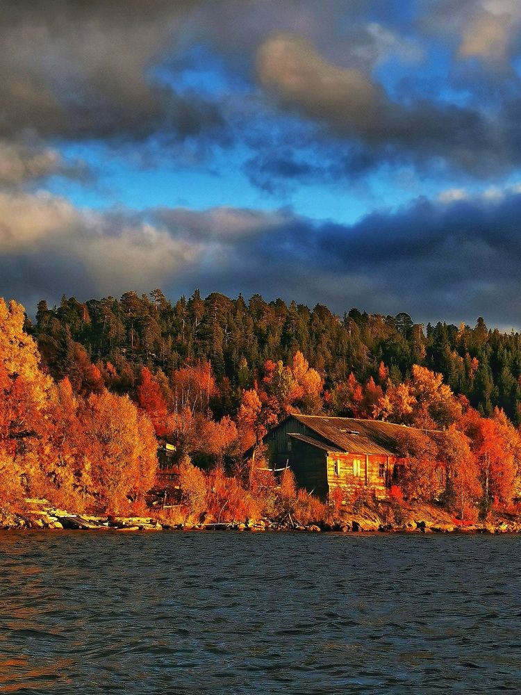 Photograph by Елена Артёменко