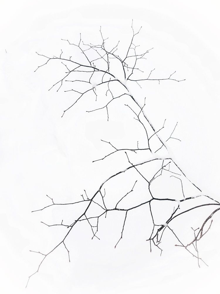 Photograph by Анастасия Внучкова