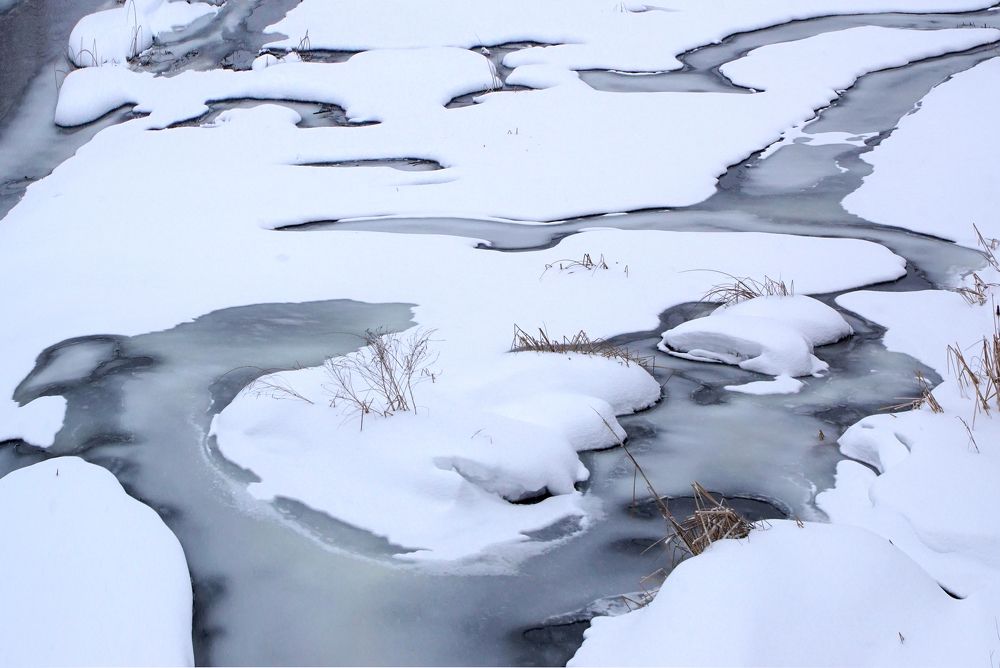 Прогулка по первым речным проталинам.Скоро весна!