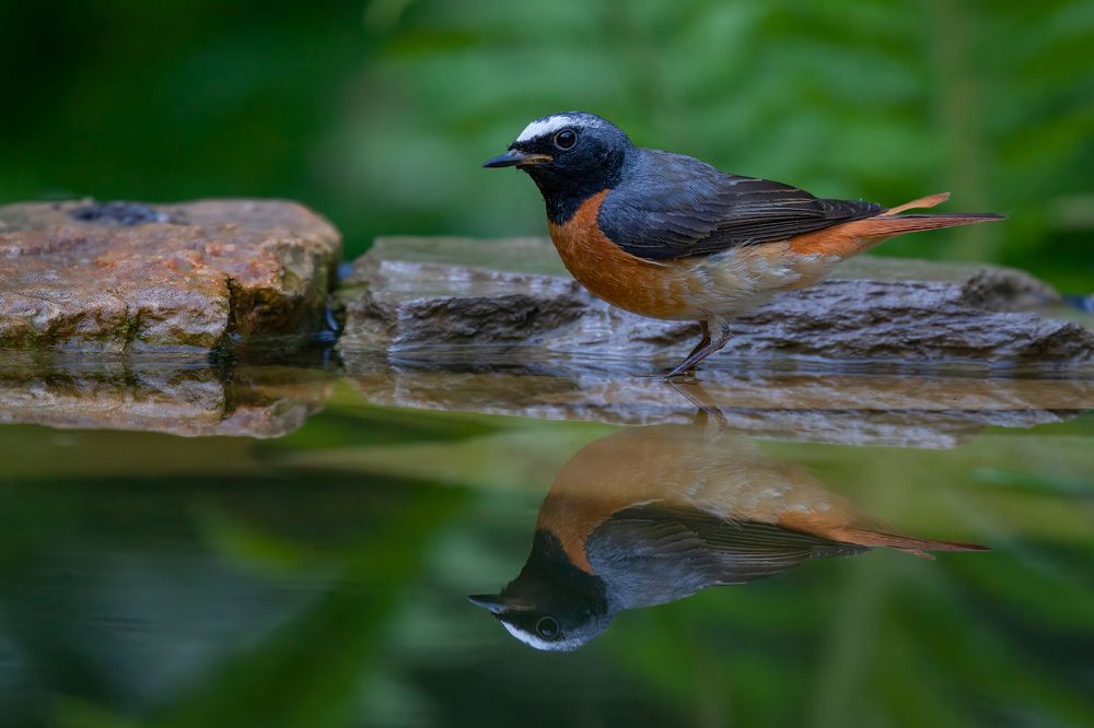 Photograph by Марат Кучкаев