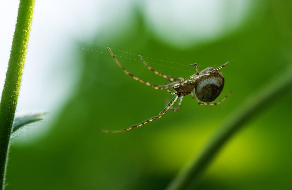 Photograph by Рут Андрей