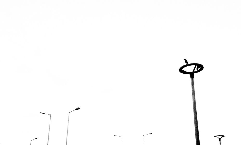 Photograph by Maaz Ahmed