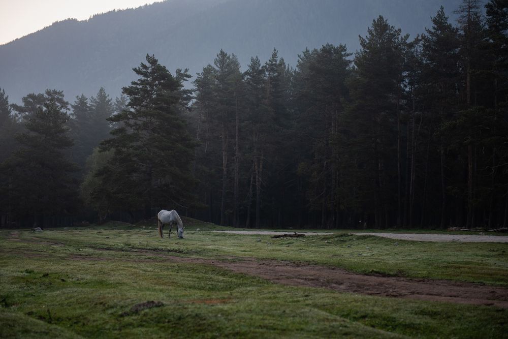 Photograph by Денис Соломин