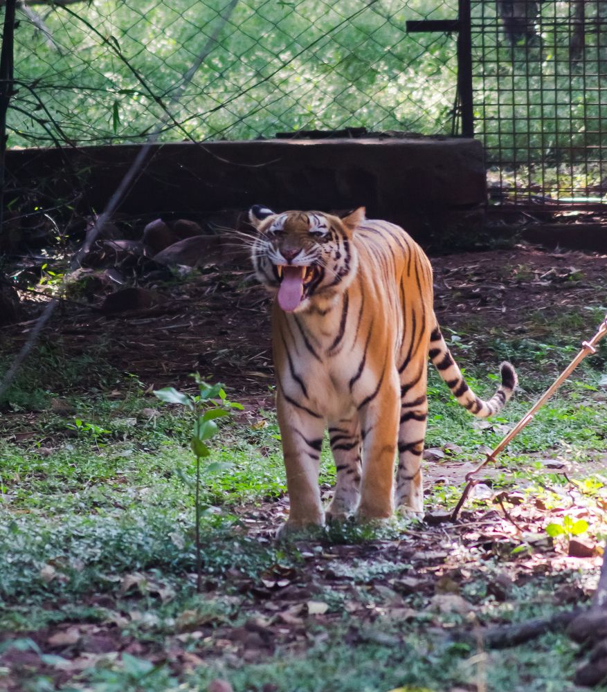 Photograph by Nikhil Raghuwanshi