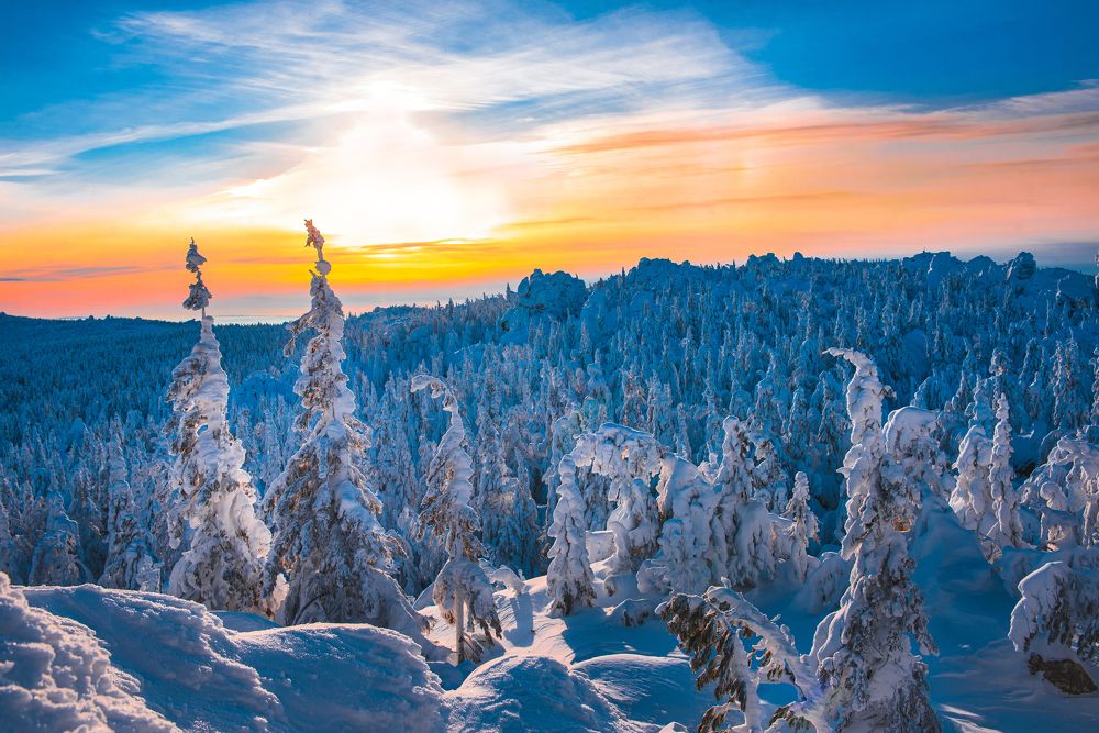 Photograph by Andrey Chuntomov