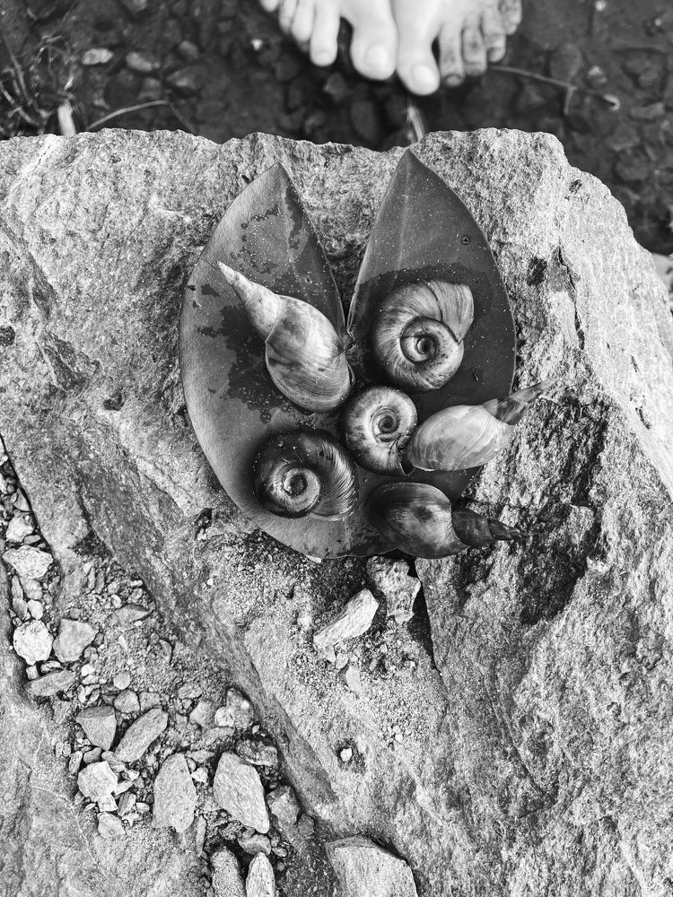 Photograph by Евгения Шубенкова