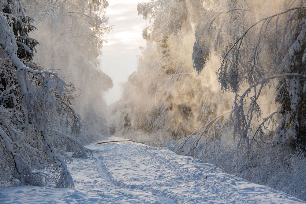 Photograph by Eriks Zilbalodis