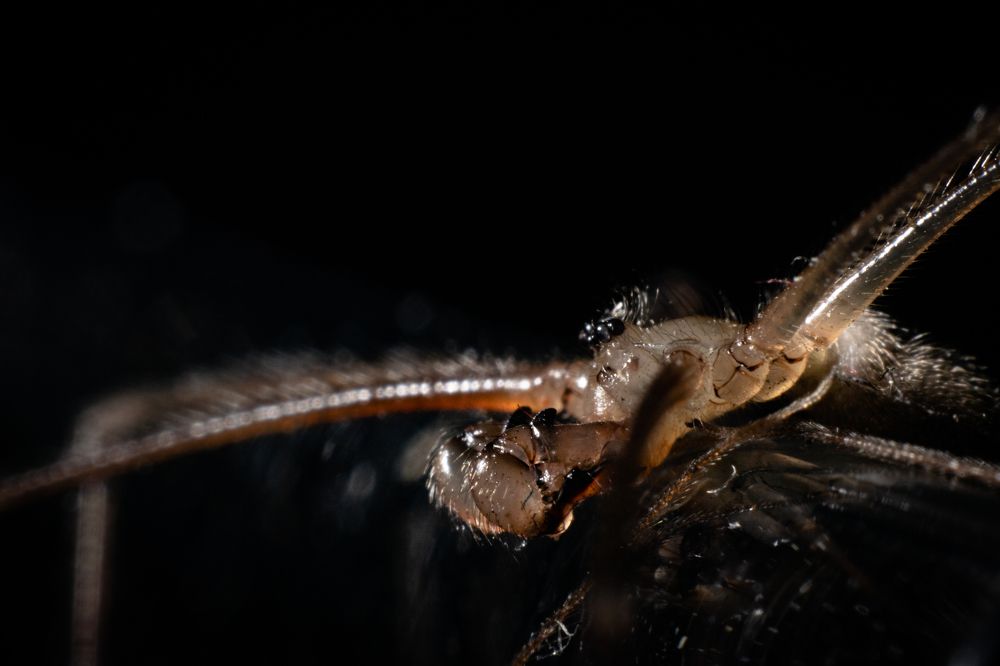 Photograph by Володимир Сорін