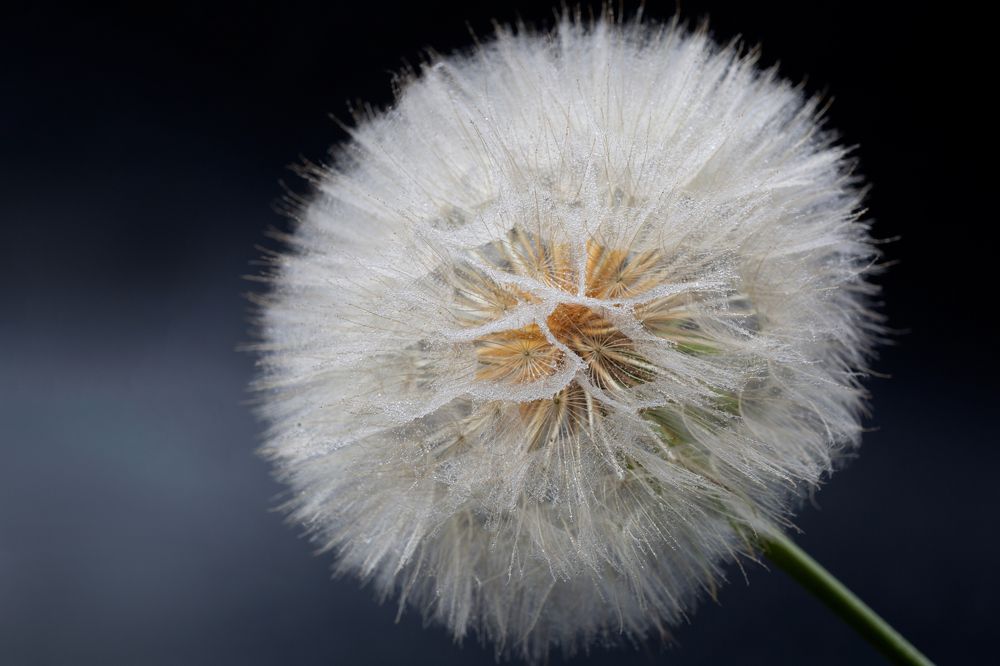 Photograph by Наталья Завьялова