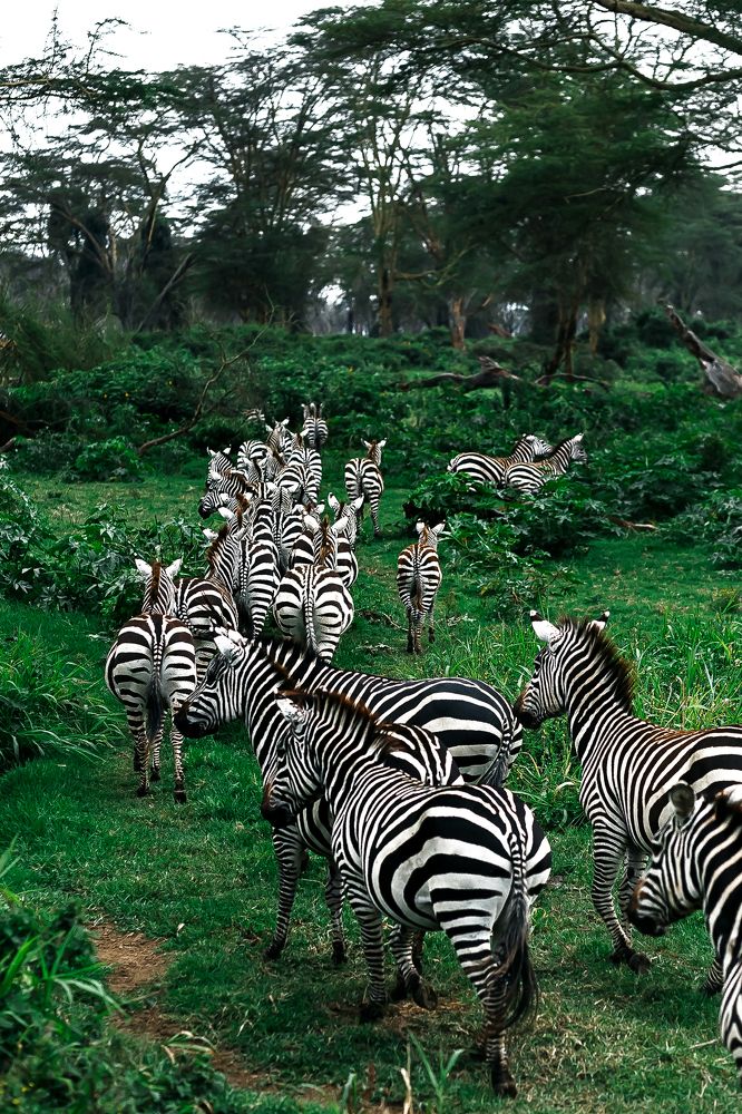 Photograph by Uyriy Serebrov