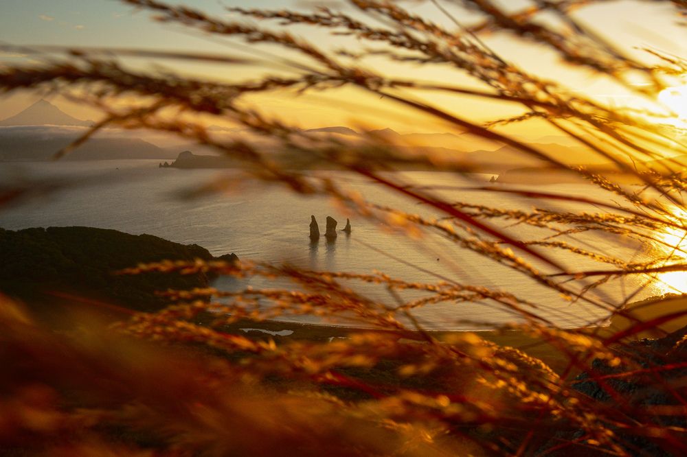 Золотой закат