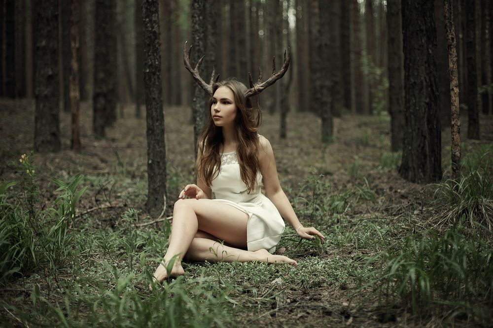 Фотография автора Maxwellion