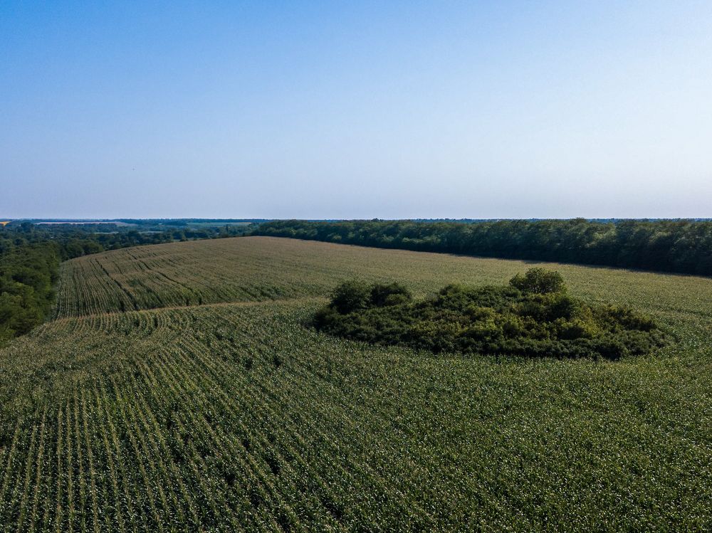 Курганы Кубанских степей