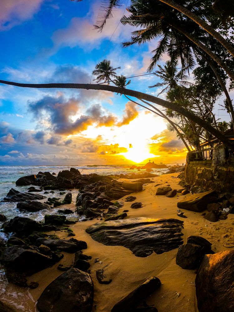 Photograph by Chamila Wickramanayake